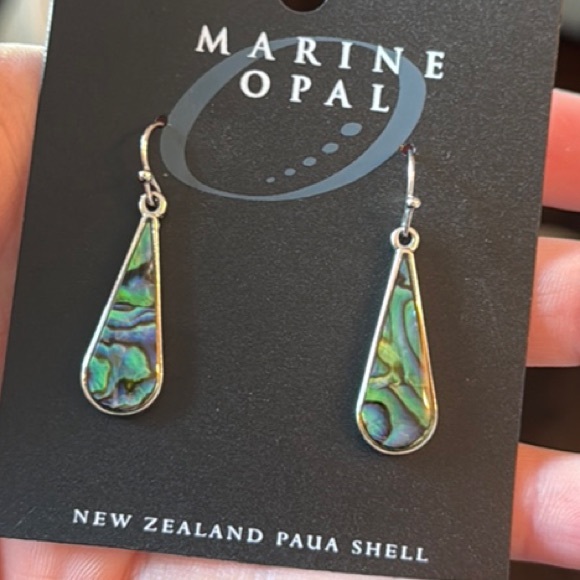 Paua Shell Drop Earrings - Picture 1 of 2